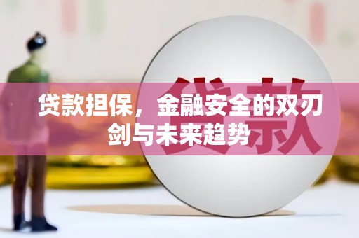 马边贷款担保，金融安全的双刃剑与未来趋势