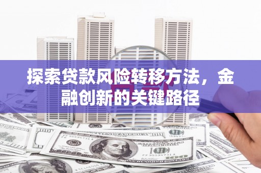 马边探索贷款风险转移方法，金融创新的关键路径