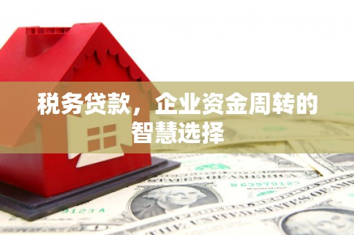 马边税务贷款，企业资金周转的智慧选择