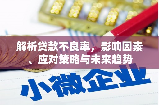 马边解析贷款不良率，影响因素、应对策略与未来趋势