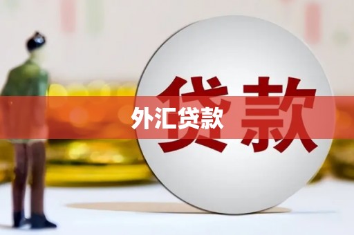 马边外汇贷款
