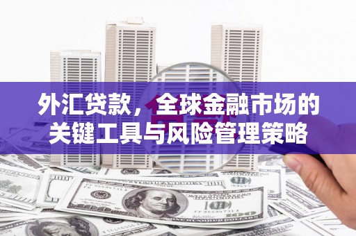 马边外汇贷款，全球金融市场的关键工具与风险管理策略