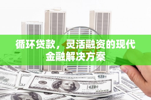 马边循环贷款，灵活融资的现代金融解决方案