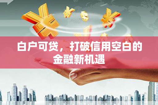 马边白户可贷，打破信用空白的金融新机遇