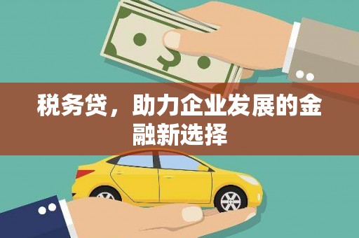 马边税务贷，助力企业发展的金融新选择
