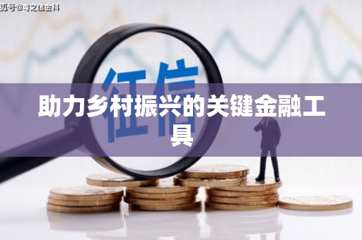 马边助力乡村振兴的关键金融工具