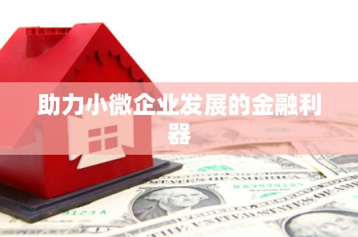 马边助力小微企业发展的金融利器