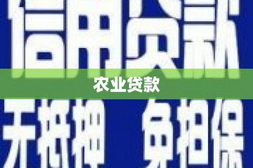 马边农业贷款