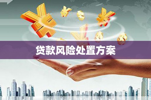 马边贷款风险处置方案
