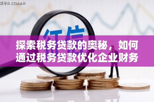 马边探索税务贷款的奥秘，如何通过税务贷款优化企业财务