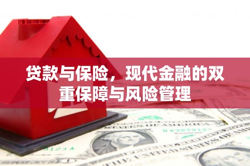 马边贷款与保险，现代金融的双重保障与风险管理