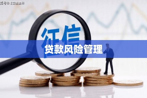 马边贷款风险管理