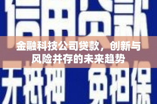 马边金融科技公司贷款，创新与风险并存的未来趋势