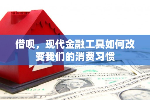马边借呗，现代金融工具如何改变我们的消费习惯