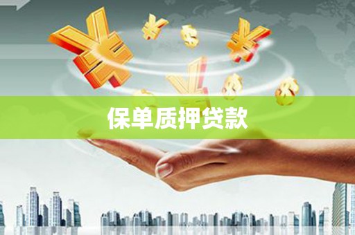 马边保单质押贷款