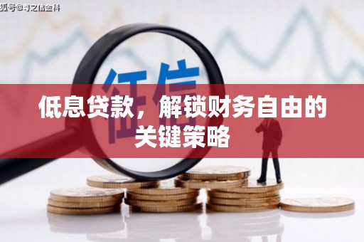 马边低息贷款，解锁财务自由的关键策略