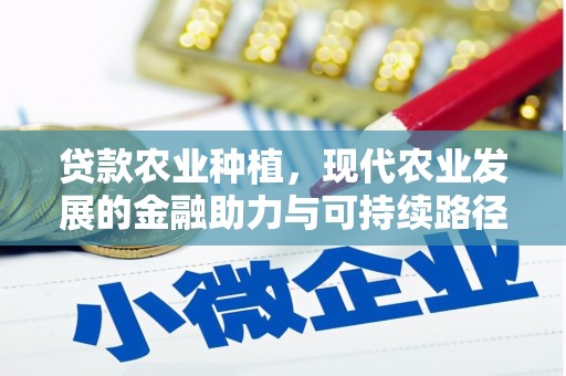 马边贷款农业种植，现代农业发展的金融助力与可持续路径