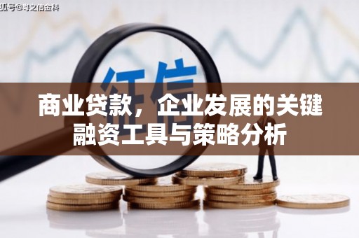 马边商业贷款，企业发展的关键融资工具与策略分析