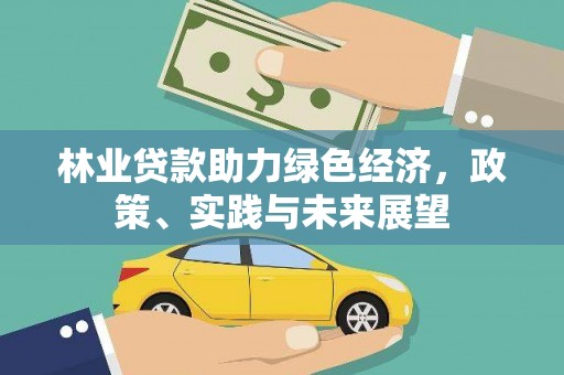 马边林业贷款助力绿色经济，政策、实践与未来展望