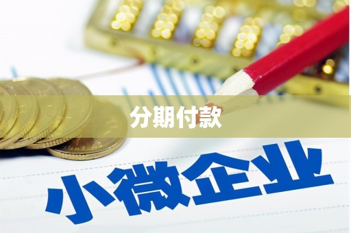 马边分期付款
