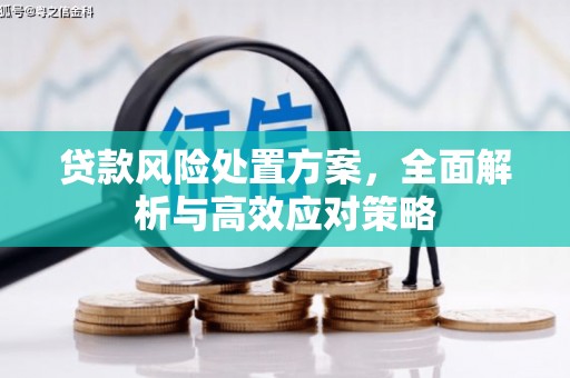 马边贷款风险处置方案，全面解析与高效应对策略