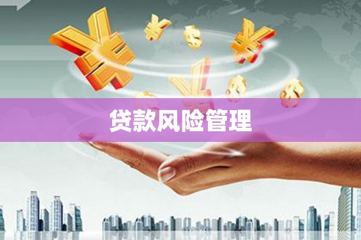 马边贷款风险管理