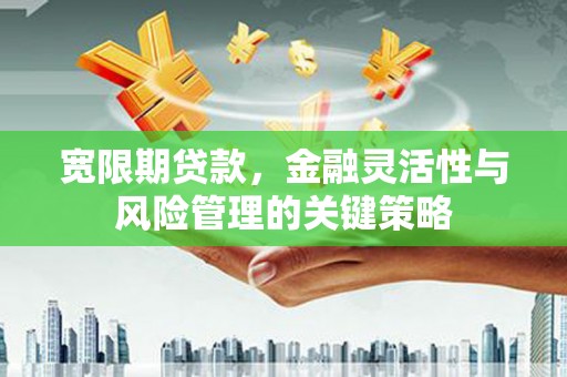 马边宽限期贷款，金融灵活性与风险管理的关键策略