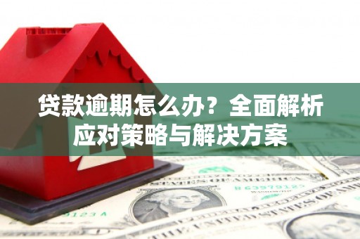马边贷款逾期怎么办？全面解析应对策略与解决方案