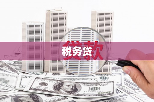 马边税务贷