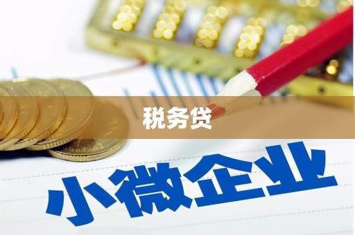 马边税务贷