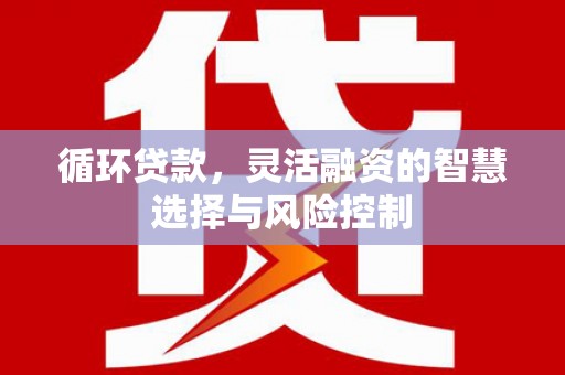 马边循环贷款，灵活融资的智慧选择与风险控制