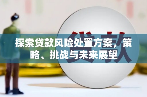 马边探索贷款风险处置方案，策略、挑战与未来展望