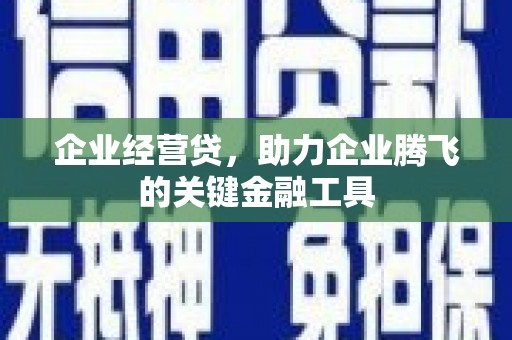 马边企业经营贷，助力企业腾飞的关键金融工具