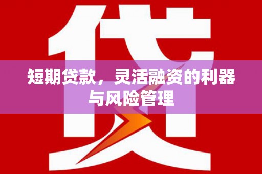 马边短期贷款，灵活融资的利器与风险管理