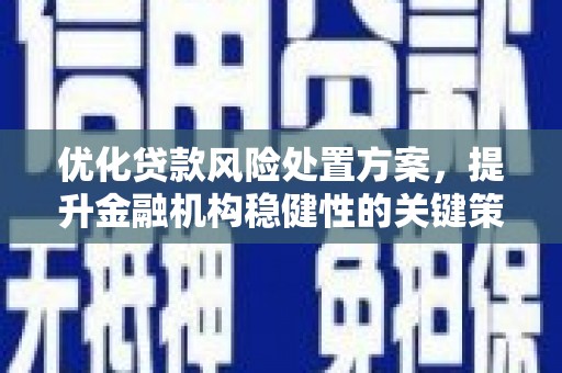马边优化贷款风险处置方案，提升金融机构稳健性的关键策略