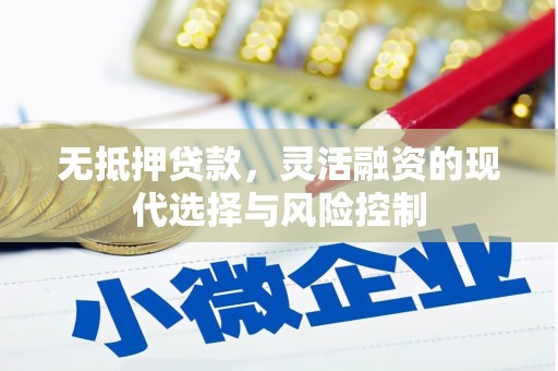 马边无抵押贷款，灵活融资的现代选择与风险控制