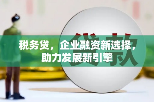 马边税务贷，企业融资新选择，助力发展新引擎
