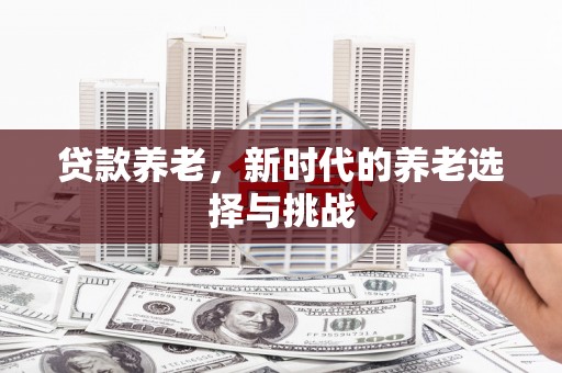 马边贷款养老，新时代的养老选择与挑战