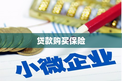 马边贷款购买保险