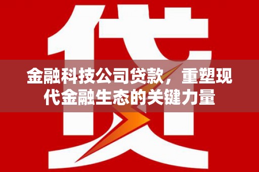 马边金融科技公司贷款，重塑现代金融生态的关键力量