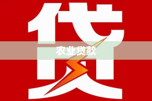 马边农业贷款