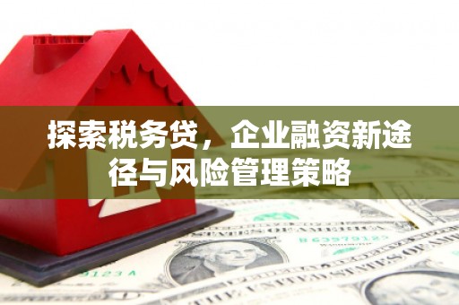马边探索税务贷，企业融资新途径与风险管理策略