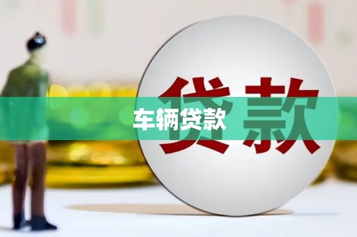 马边车辆贷款