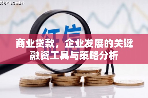 马边商业贷款，企业发展的关键融资工具与策略分析