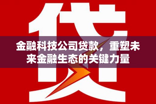 马边金融科技公司贷款，重塑未来金融生态的关键力量
