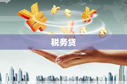 马边税务贷