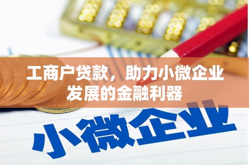 马边工商户贷款，助力小微企业发展的金融利器