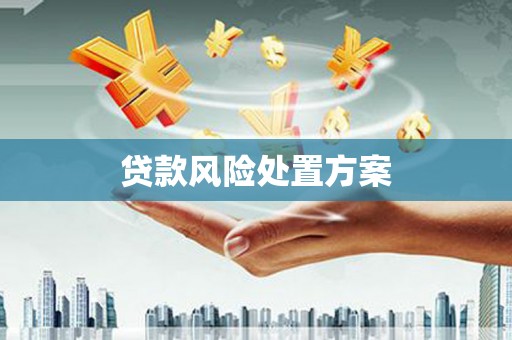 马边贷款风险处置方案