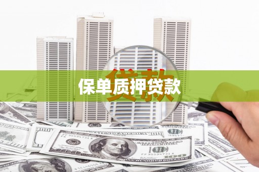 马边保单质押贷款