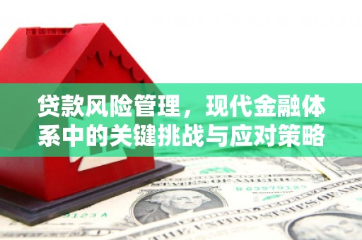 马边贷款风险管理，现代金融体系中的关键挑战与应对策略